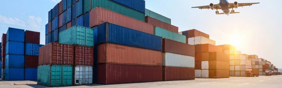 IFS-Logistic-Standardi