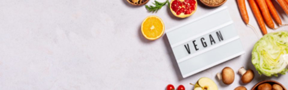 Vegan Üretim Süreci Eğitimi-kapak-gorseli